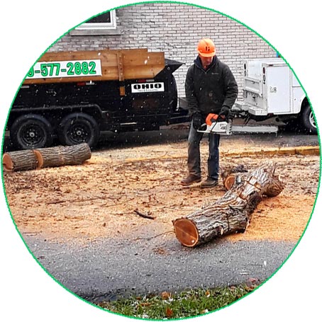 cutting log on street