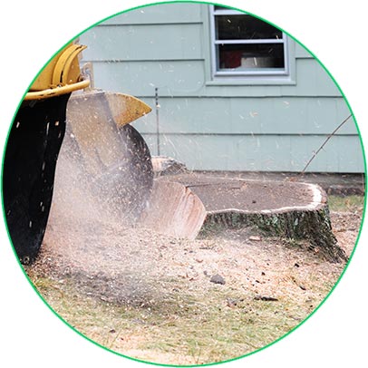 cutting stump