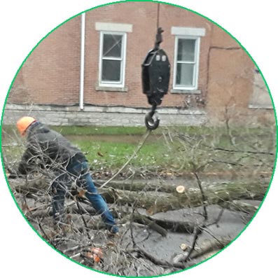 pruning