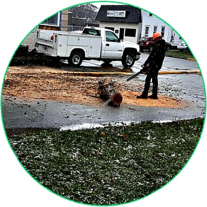trimming log on street