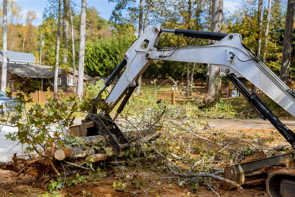 Ohio-Tree-Blog-Q3-Storm-Damage