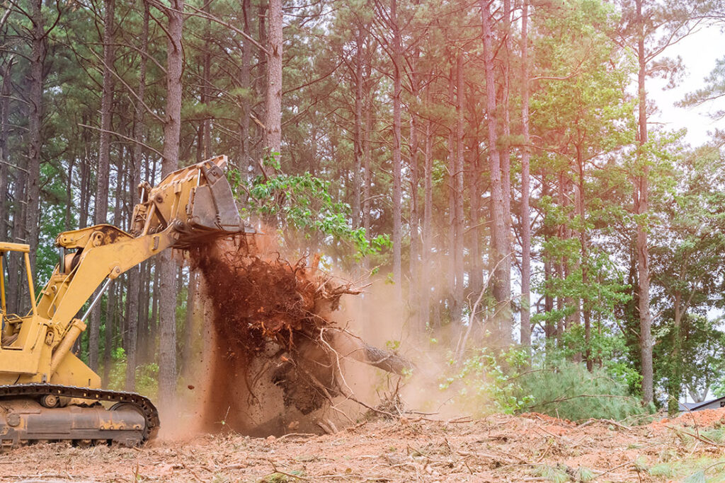Q3-2026-08-Ohio-Tree-and-Excavating-BlogQR2.3-Excavation-and-Demolition-Project-Planning
